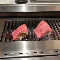 PONGA PREMIUM - 