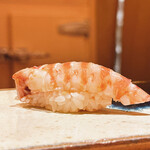 鮨 さいとう - 車海老