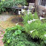 モンサンターブル - 