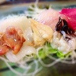 H25.08   いつもの“刺し盛り”②