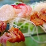 H25.08  いつもの“刺し盛り”①