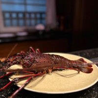 ステーキハウスハマ 六本木本店 - 