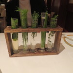 アピシウス - ハーブティーの選択