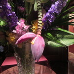 アピシウス - バナナの花