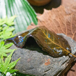 エースホテル京都 - 