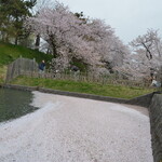 津軽衆 - 弘前城の花筏