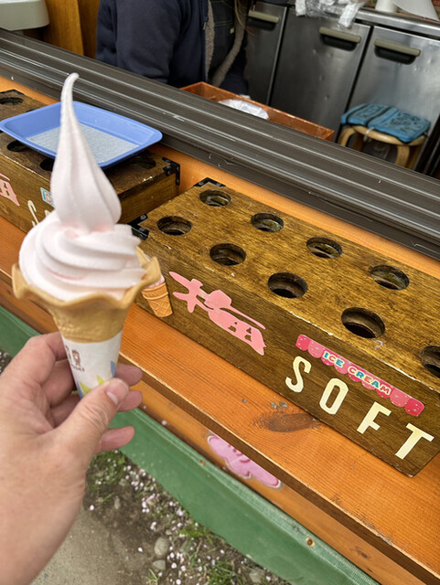 Hiraoka Ume Honpo photo 5