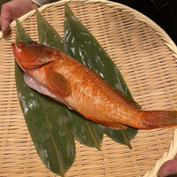 中国料理 礼華 四君子草 - 