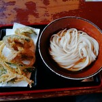 名水うどん 野々傘 - 野菜天ぷら盛合せとぶっかけうどん