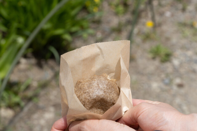 南仙院 神官（なんせんいん しんかん） - 下郷町その他（和菓子）の写真