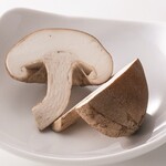 Thick shiitake mushroom