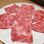 Shabushabu Nihon Ryouri Kisoji - 