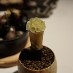 ラ・ヴァガボンド - 