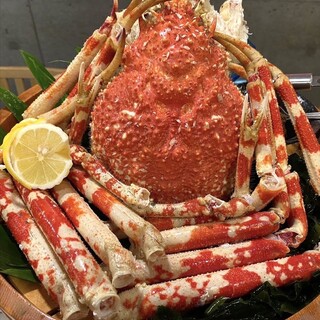 Freshly steamed Japanese spider crab