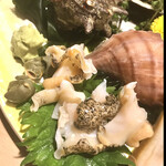 Uokinzu shisu zuki - 貝盛り　　つぶ貝など　byまみこまみこ
      