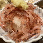 季節料理 加乃 - 生桜エビおろし
            醤油をかけて頂きます
            旬の桜エビがサッパリしてて美味い