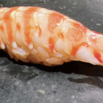 鮨処 やまと - 車海老