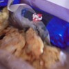 JEIL CHICKEN イオンモール大阪ドームシティ店