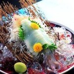 Maruha Shouten - 新鮮だから刺身が美味い！