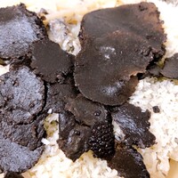 Terres de Truffes, Tokyo - 