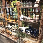 青山フラワーマーケット グリーンハウス - 