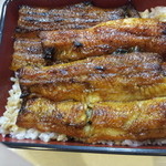 炭焼うなぎ 加茂 - 特上うな重