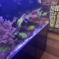 盤古殿 コレド日本橋店 - 