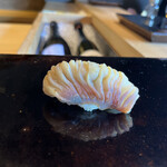 鮨 三心 - 苫小牧産北寄貝