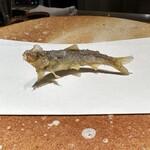 天ぷら 心斎橋 一哲 - 