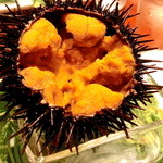 和み処 男山 - 豪快に美味しいうにをいただく