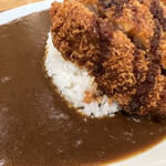 揚げたて とんかつ 満点カレー - ジャンボチキンカレー