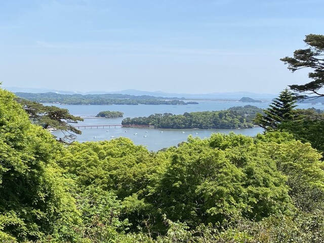 丼松島（DON MATSUSHIMA） - 松島海岸（海鮮）の写真