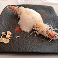 サーラ アマービレ - 