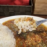 KARA-KUSA curry - 