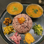 Curry Spice Gelateria KALPASI - ケーララチキン、サンバル