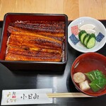 Unagi Kohinata - 