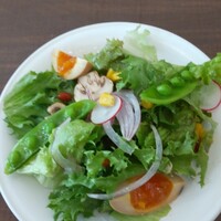 DON CONA CONERY 品川 - 