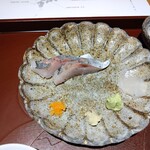 馳走 啐啄一十  - 瀬付き鯵