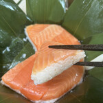 扇一 ます寿し本舗 - 