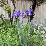 デリー - おそらく、この時にSuicaを落としたのかも⁇