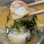 ビストロ セレニテ - 