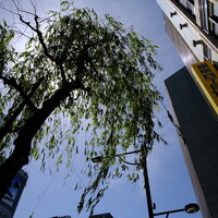 羅豚 はなれ - ともあれ、すこぶる晴れ !