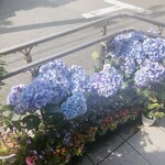 江戸一 - そんな季節