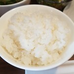 キッチン ブルー グローブ - ご飯大盛りのアップ