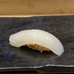 梅田 寿司 すし渡 - 