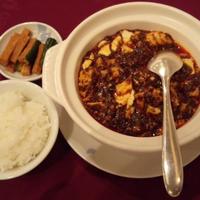 中国四川料理 桃花源 - 