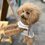 THE NUTS EXCHANGE - お店の前でちょーだいポーズｗ