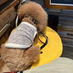 THE NUTS EXCHANGE - キャンディに夢中♪