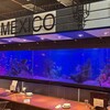 シーフードレストラン メヒコ 東京ベイ有明店