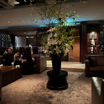 XEX ATAGO GREEN HILLS / The BAR - 